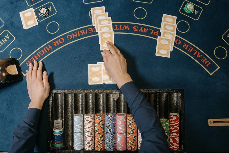 Animal slots سائٹ کے لیے آن لائن گیمز فراہم کرنے والے