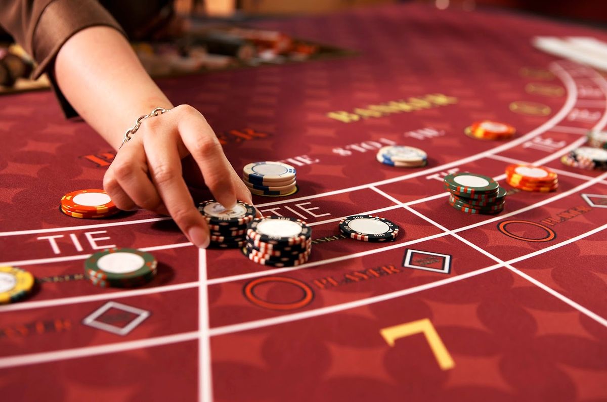 Animal slots پاکستان کیسینو میں بلیک جیک گیمز