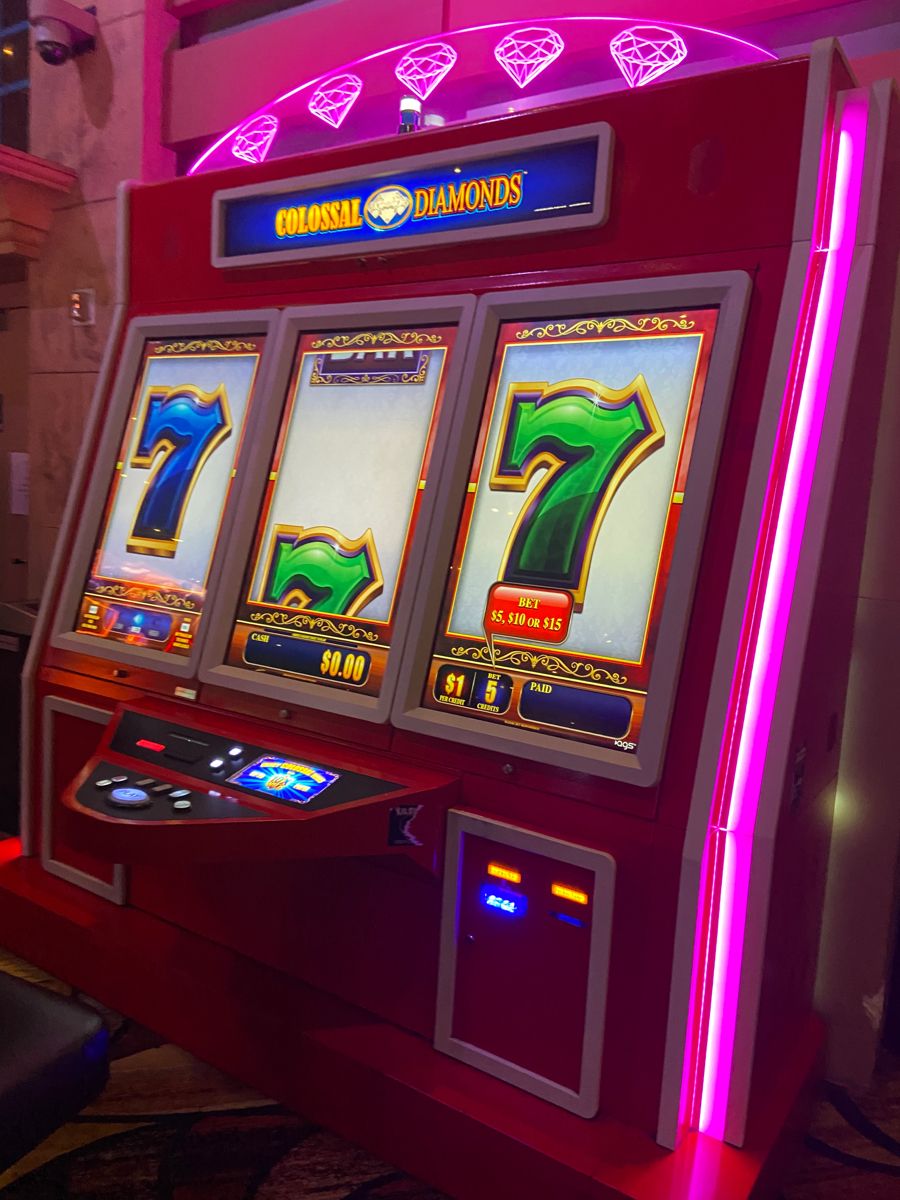 Animal slots کیسینو میں سلاٹ کھیلنا شروع کریں۔